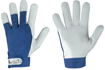 Obrázek z CXS TECHNIK A Pracovní kombinované rukavice - 240 párů 