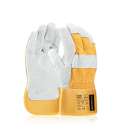 ARDON®ELTON Pracovní rukavice 12 párů